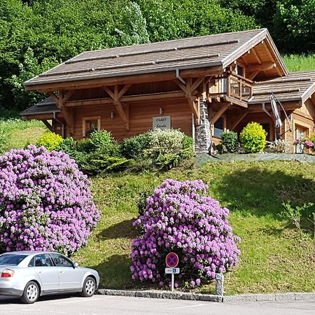 Les Chalets Des Chatelmines La Bresse Exterior foto